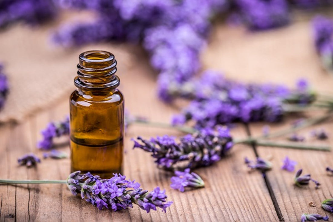 Unlocking the Power of Essential Oils: Nature’s Potent Elixirs