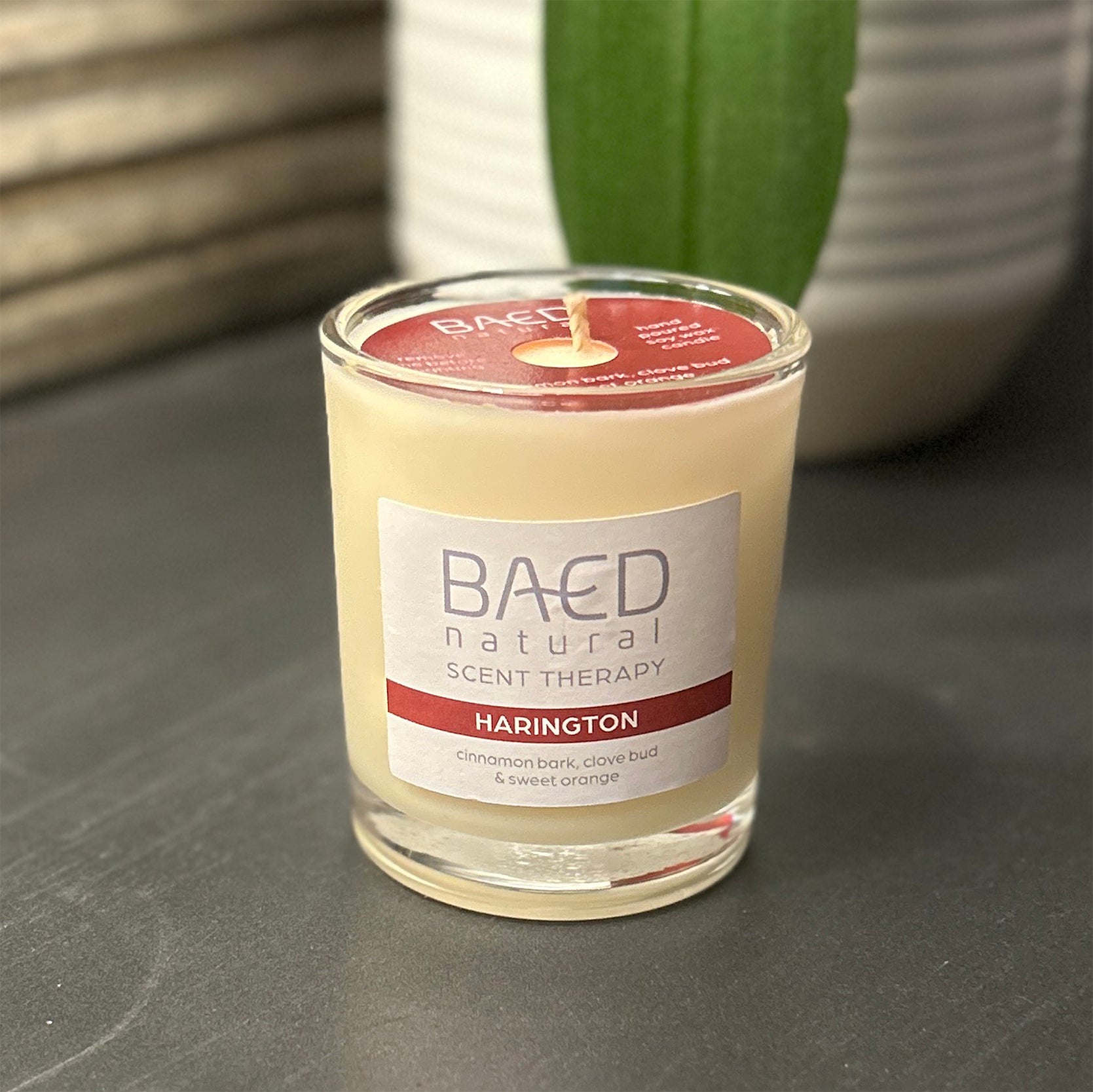 harington soy wax votive christmas candle front glass